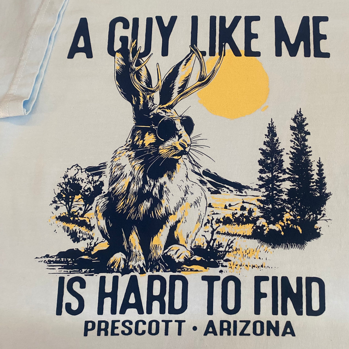 “A Guy Like Me” Prescott Arizona T-Shirt