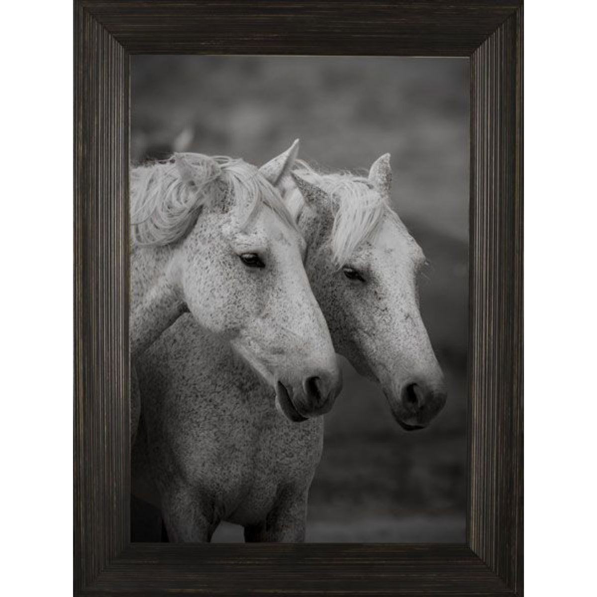 Double Vision Photo Frame