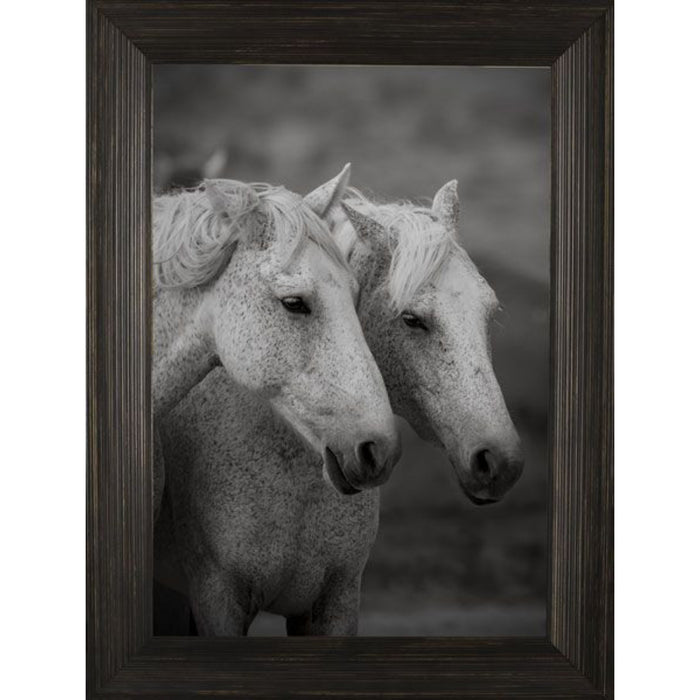 Double Vision Photo Frame