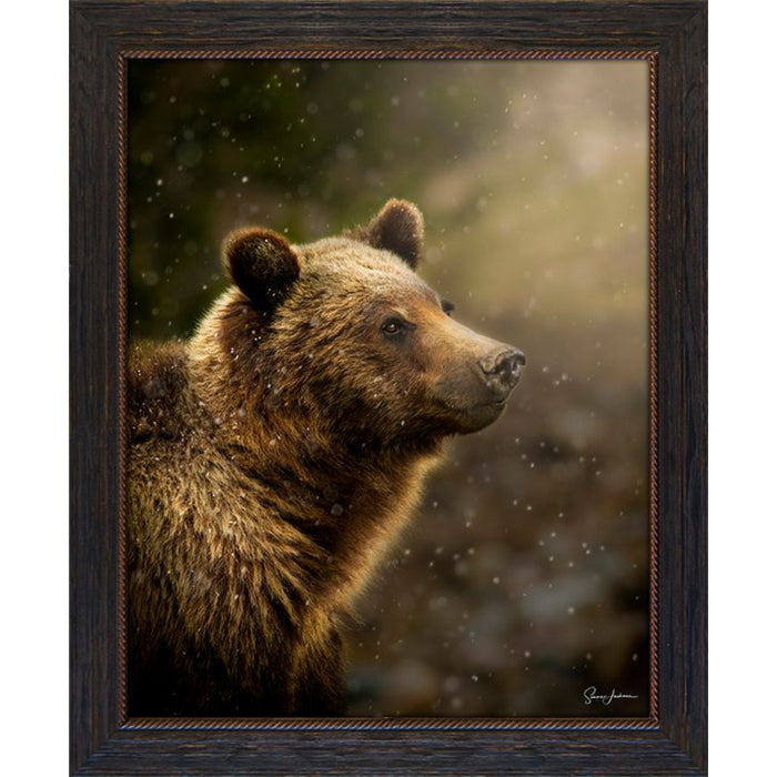 Flurries Photo Frame