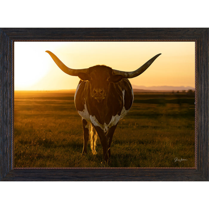 Longhorn Sunset Photo Frame