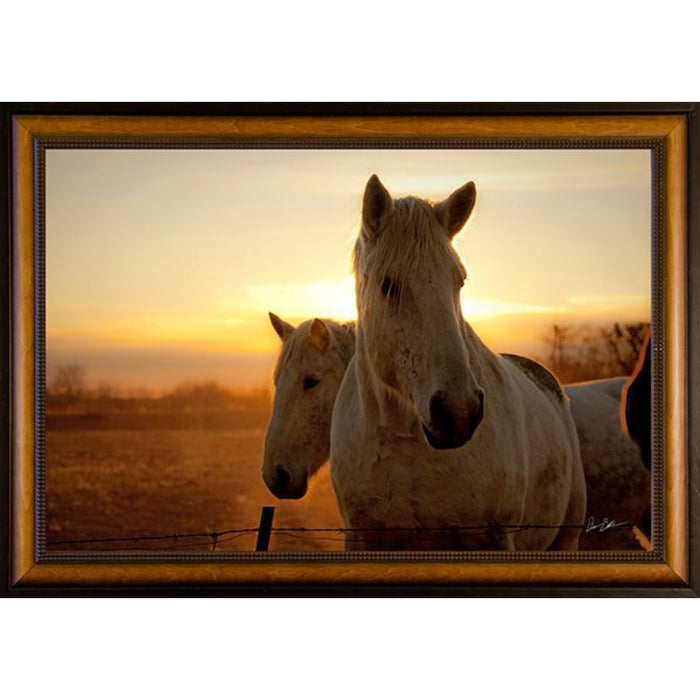 Paired Up Photo Frame