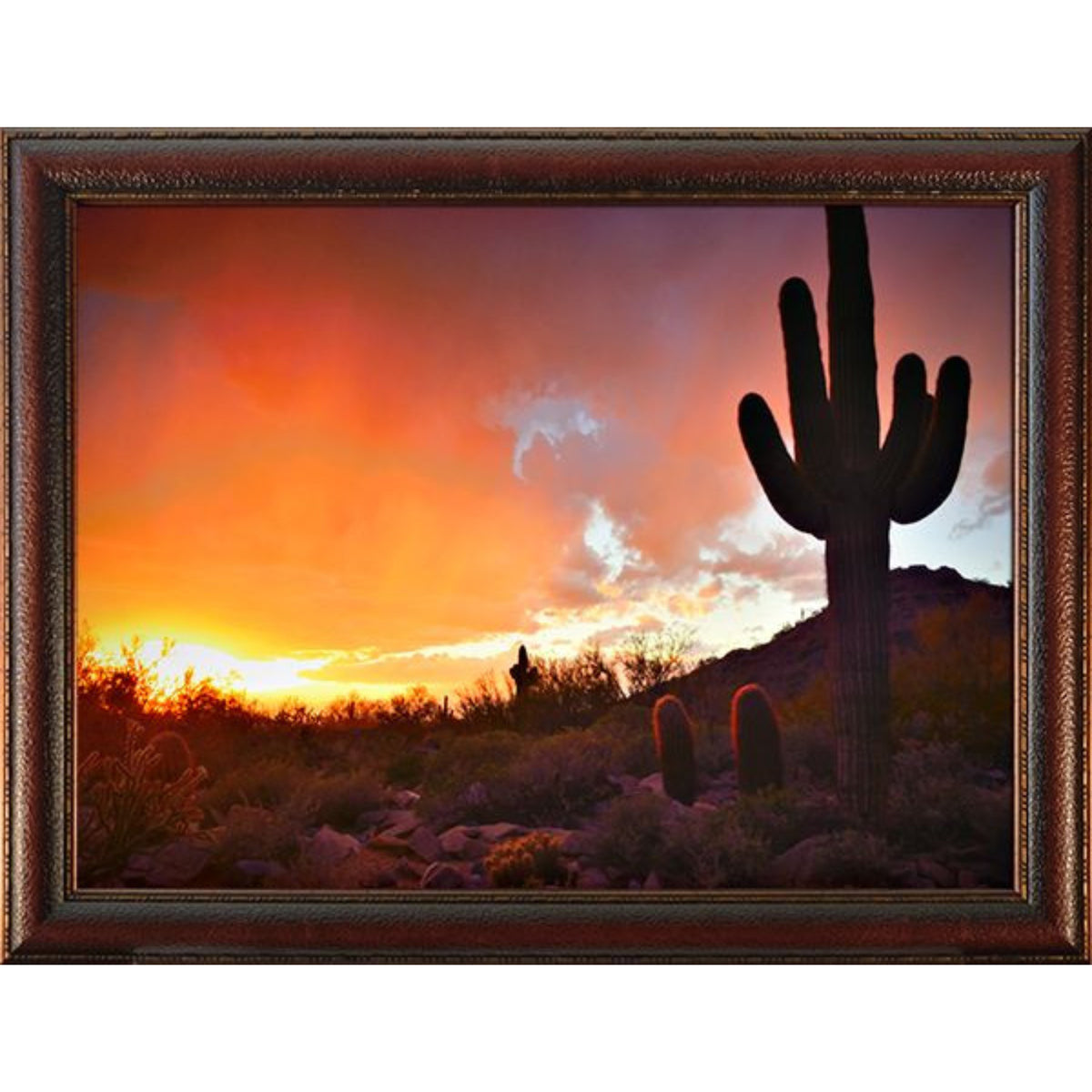Saguaro Cactus Photo Frame