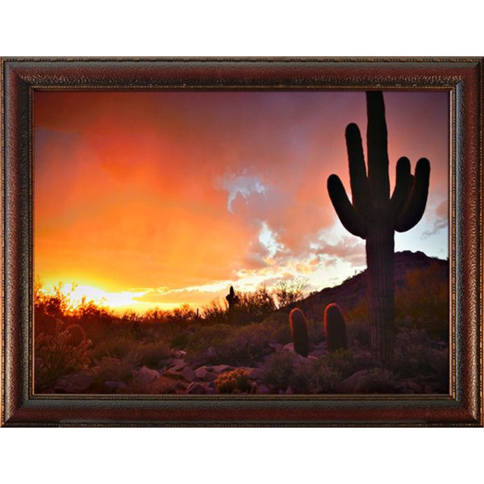 Saguaro Cactus Photo Frame